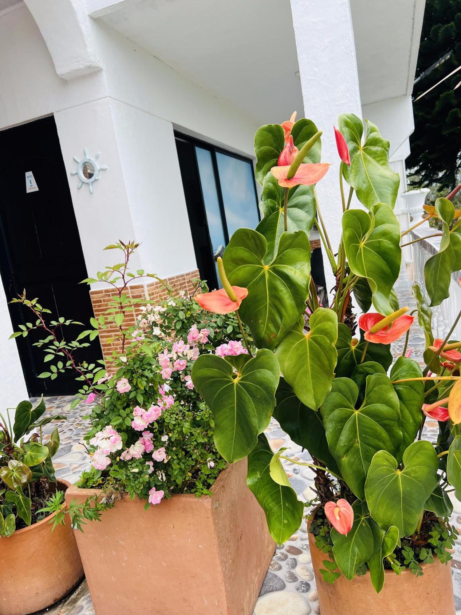 Paradise Lake Finca Hotel Guatapé 외부 사진